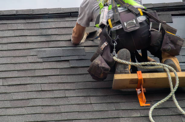 Best Local Roofing Companies  in Carlinvle, IL